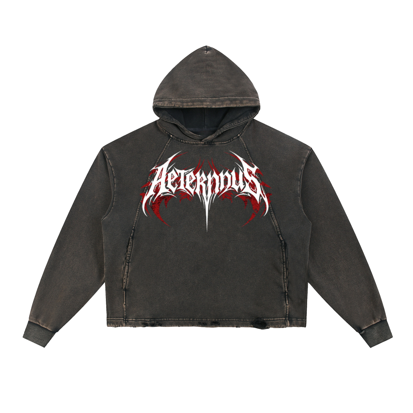 AETERNNUS W&F Hoodie