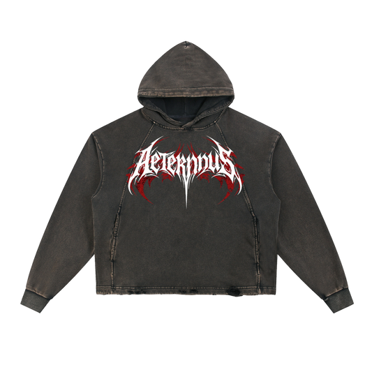 AETERNNUS W&F Hoodie